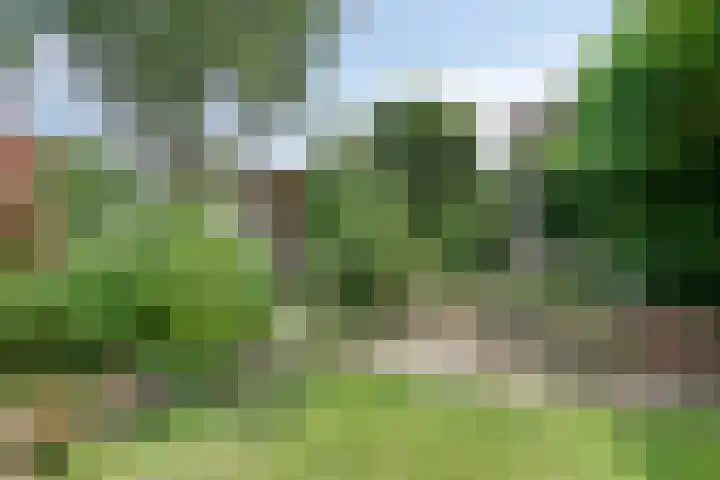 Pater Vogelsstraat 15 Beek en Donk thumbnail 25