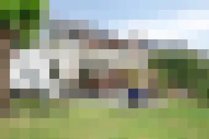 Pater Vogelsstraat 15 Beek en Donk thumbnail 28