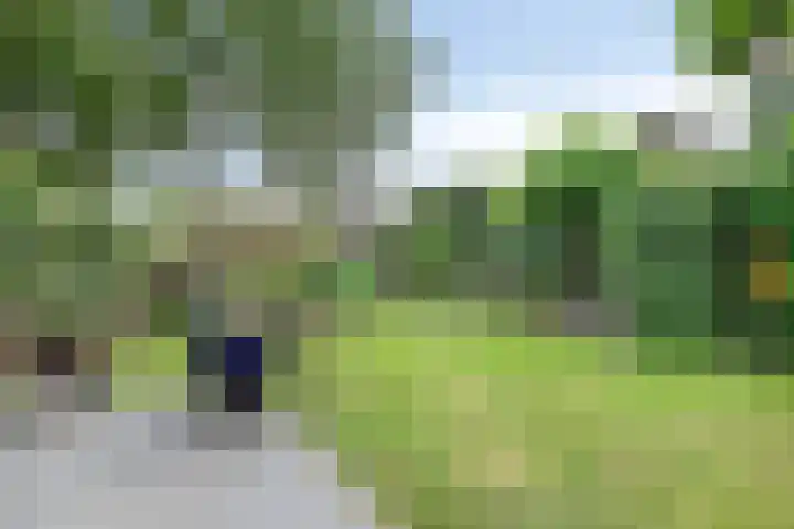 Pater Vogelsstraat 15 Beek en Donk thumbnail 32