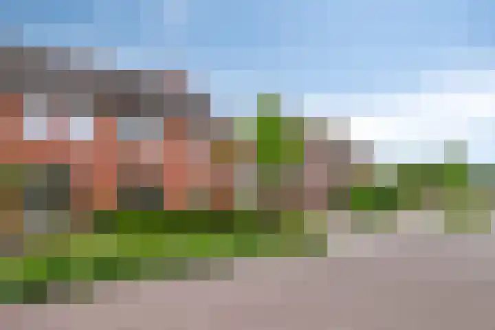 Pater Vogelsstraat 15 Beek en Donk thumbnail 35