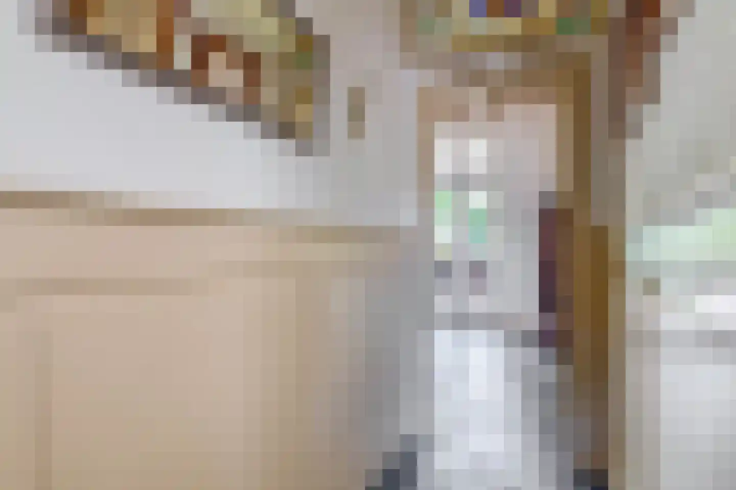 Pater Vogelsstraat 33 Beek en Donk thumbnail 13