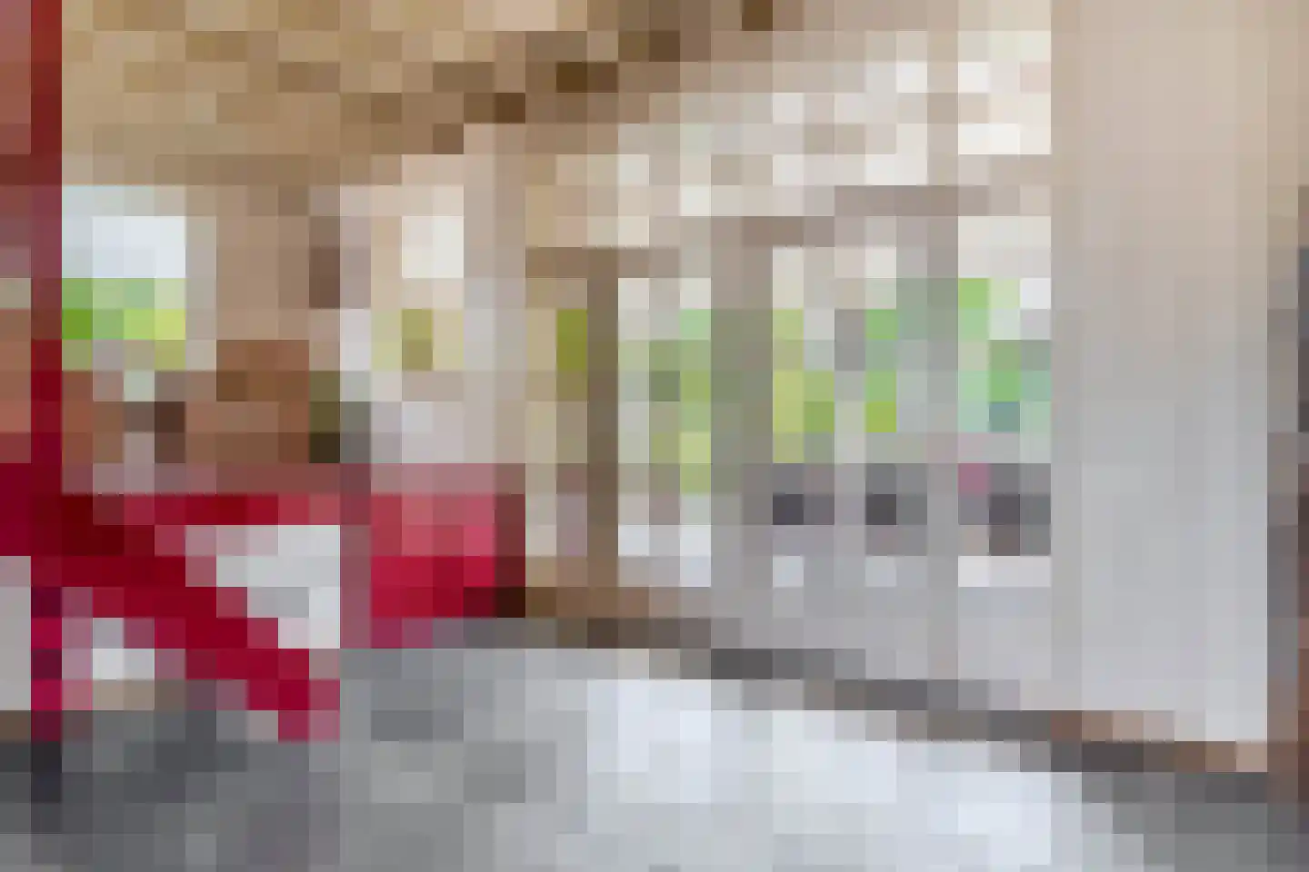 Pater Vogelsstraat 33 Beek en Donk thumbnail 14