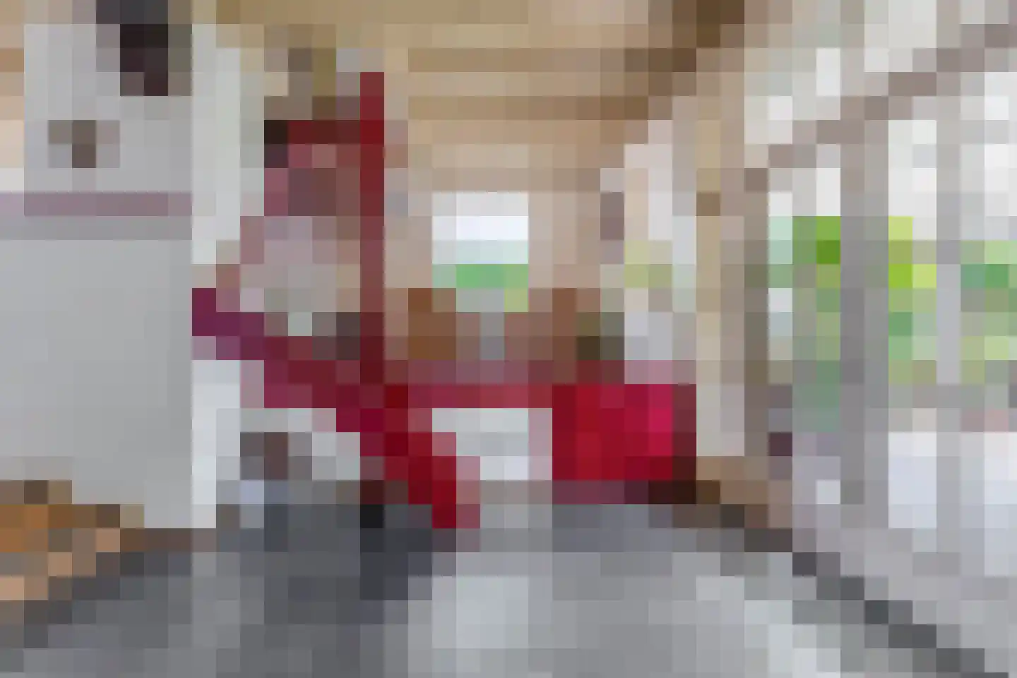 Pater Vogelsstraat 33 Beek en Donk thumbnail 15