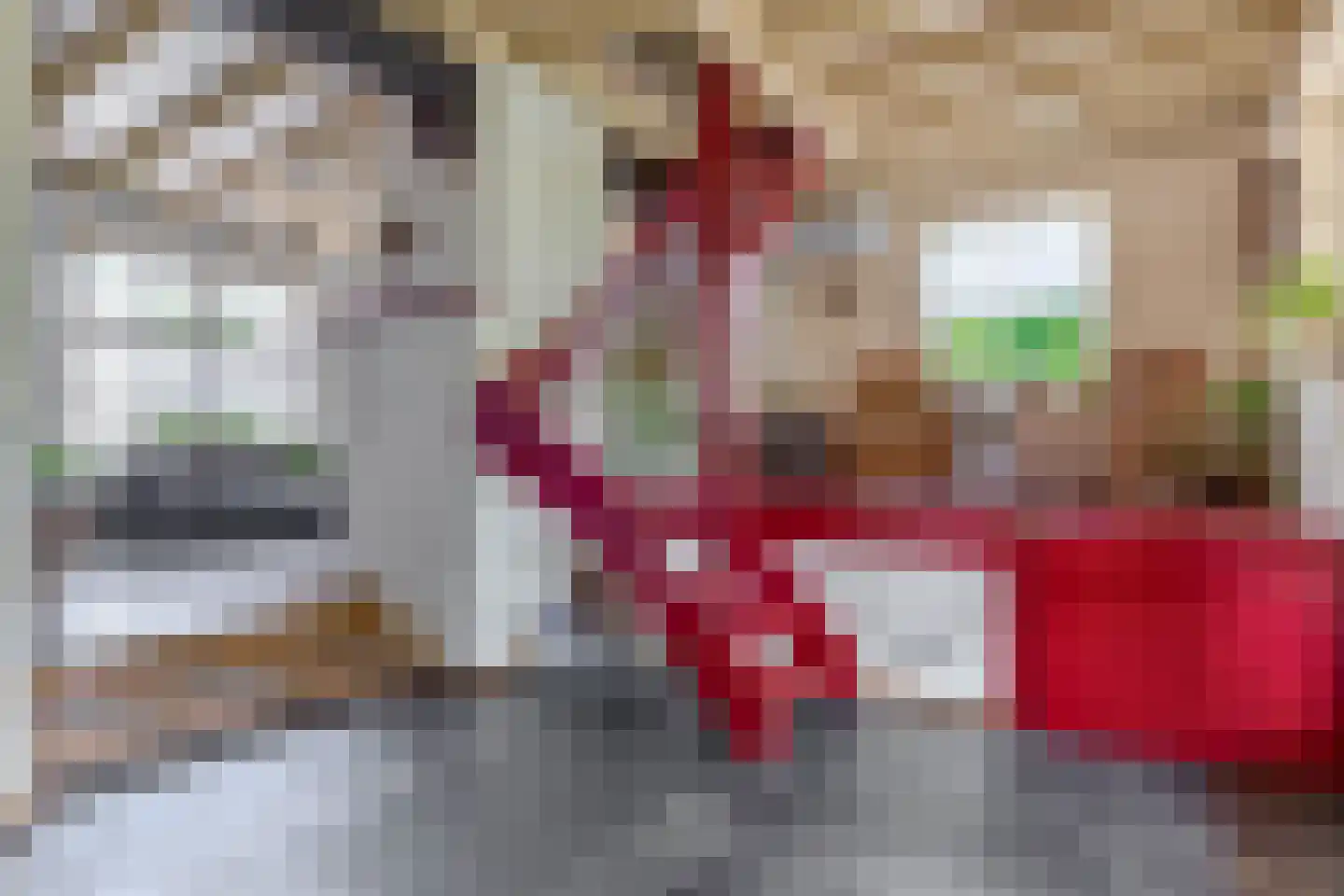 Pater Vogelsstraat 33 Beek en Donk thumbnail 16