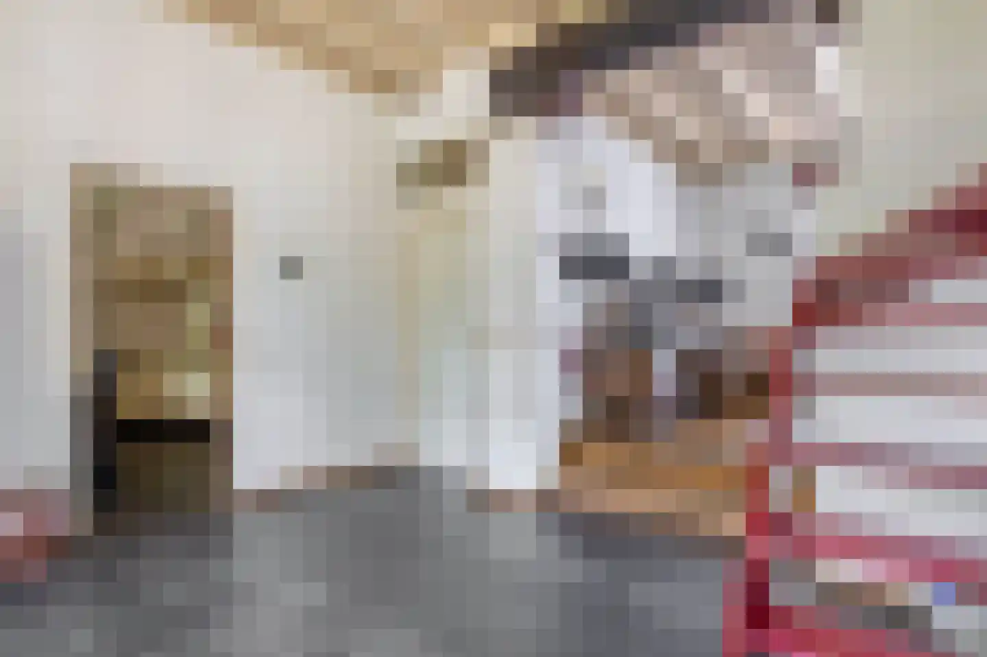 Pater Vogelsstraat 33 Beek en Donk thumbnail 17