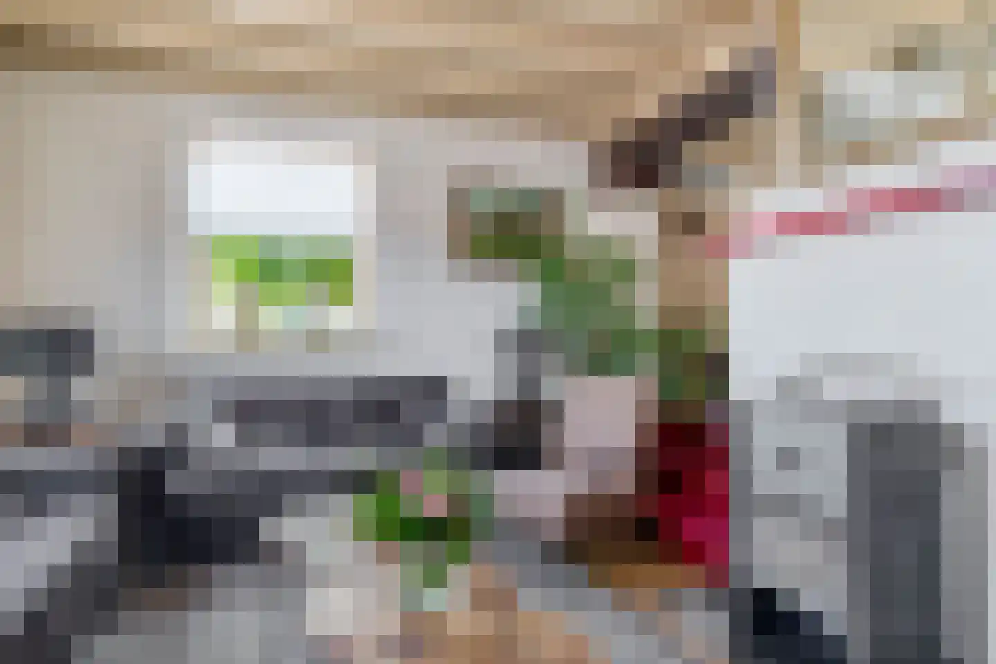Pater Vogelsstraat 33 Beek en Donk thumbnail 19