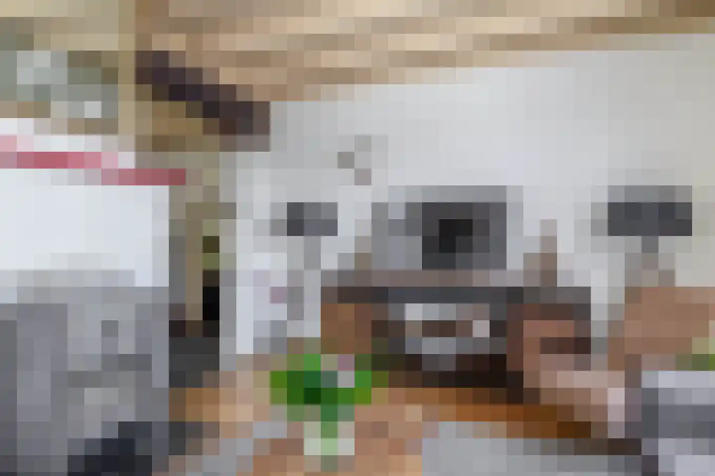 Pater Vogelsstraat 33 Beek en Donk thumbnail 20