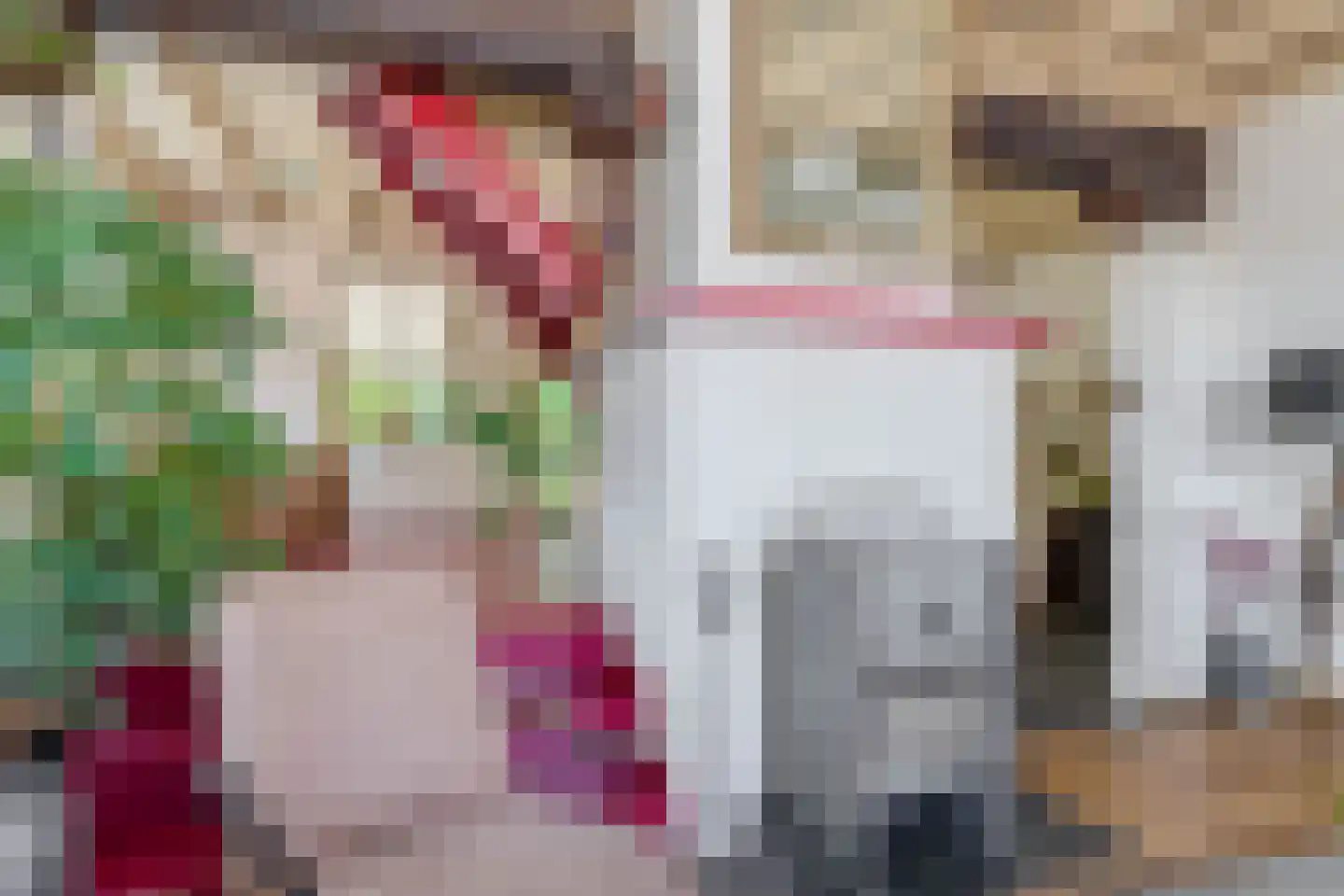 Pater Vogelsstraat 33 Beek en Donk thumbnail 21