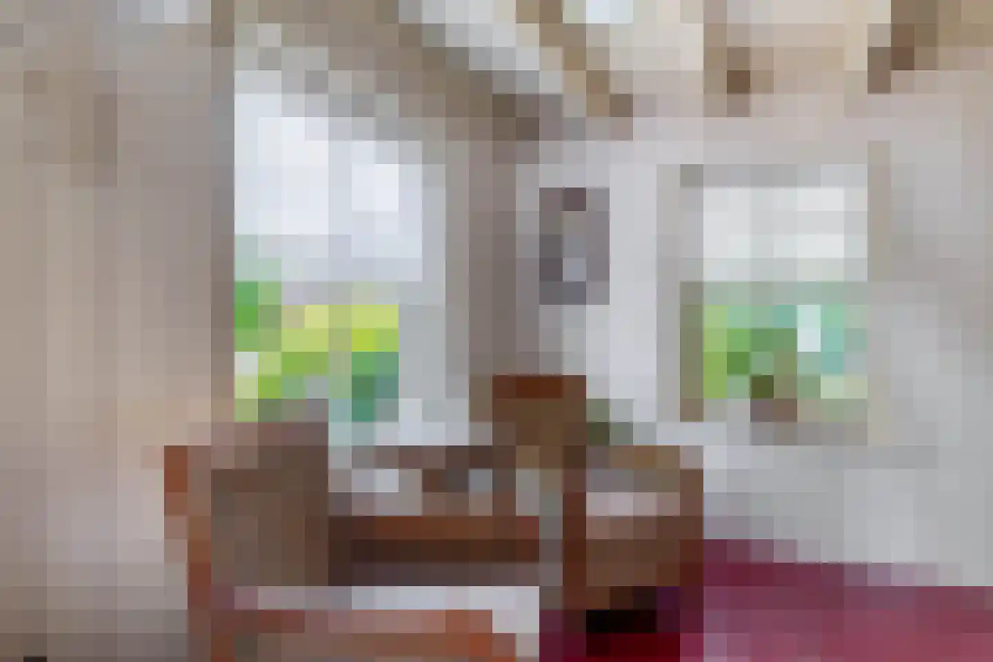 Pater Vogelsstraat 33 Beek en Donk thumbnail 23