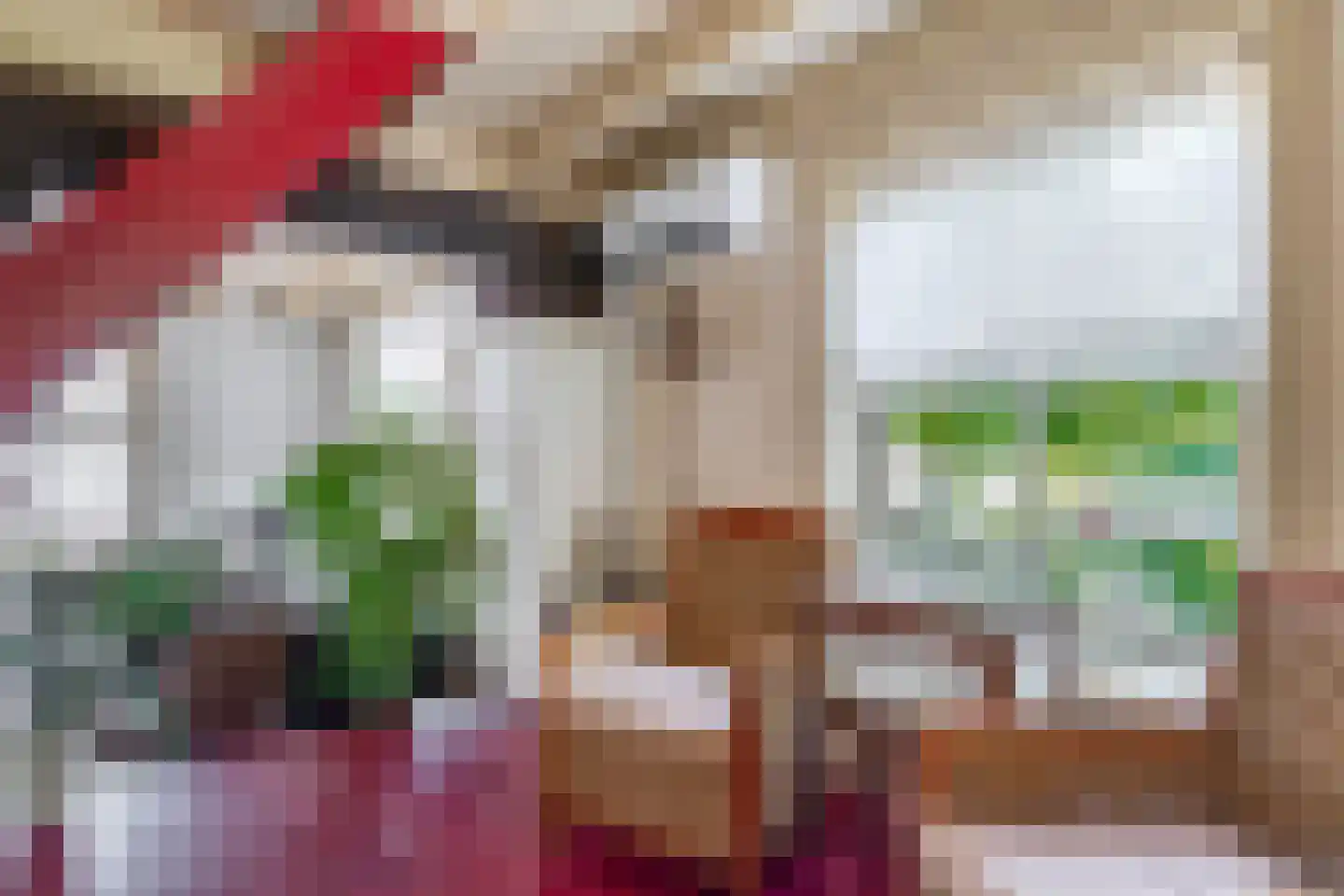 Pater Vogelsstraat 33 Beek en Donk thumbnail 24