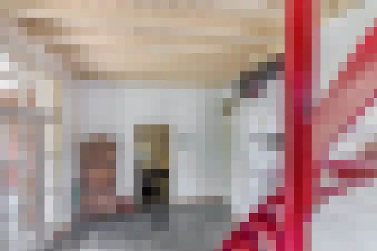 Pater Vogelsstraat 33 Beek en Donk thumbnail 25