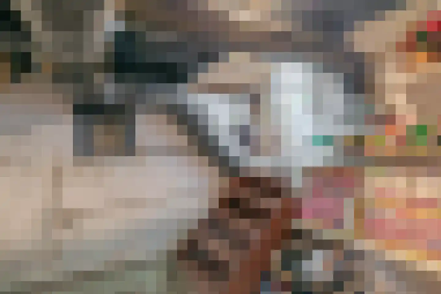 Pater Vogelsstraat 33 Beek en Donk thumbnail 26
