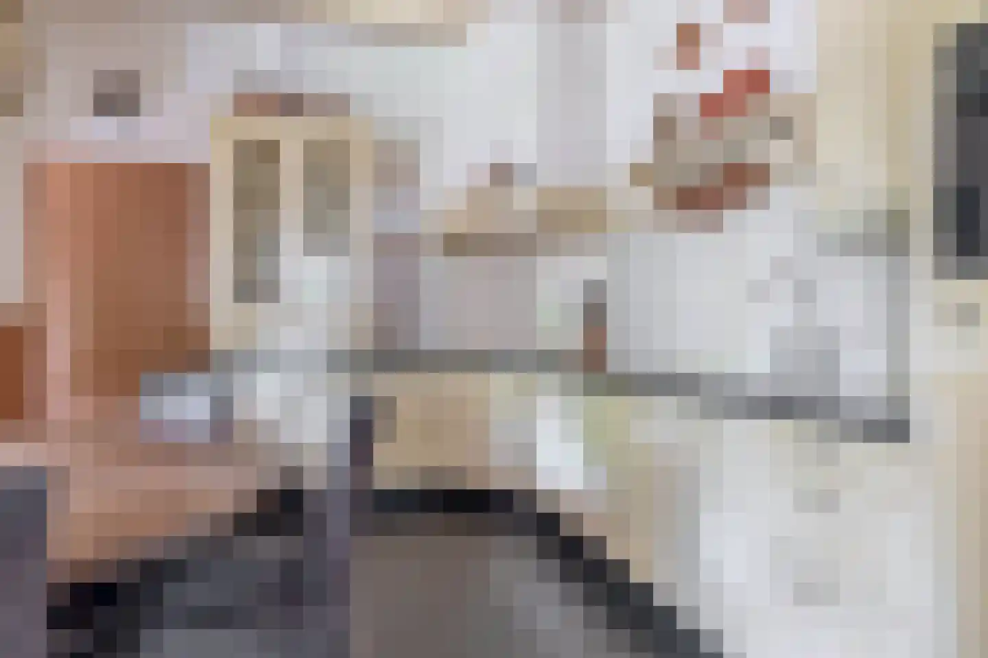 Pater Vogelsstraat 33 Beek en Donk thumbnail 27
