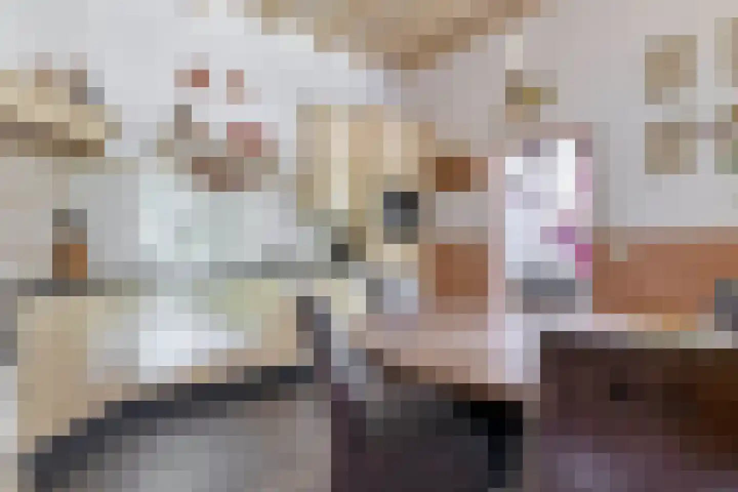 Pater Vogelsstraat 33 Beek en Donk thumbnail 28