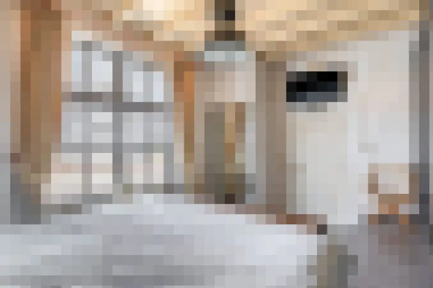 Pater Vogelsstraat 33 Beek en Donk thumbnail 37