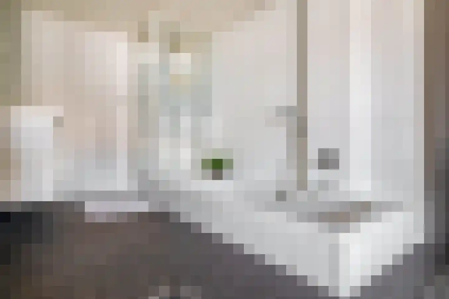 Pater Vogelsstraat 33 Beek en Donk thumbnail 38