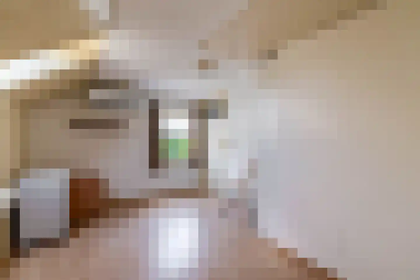 Pater Vogelsstraat 33 Beek en Donk thumbnail 44
