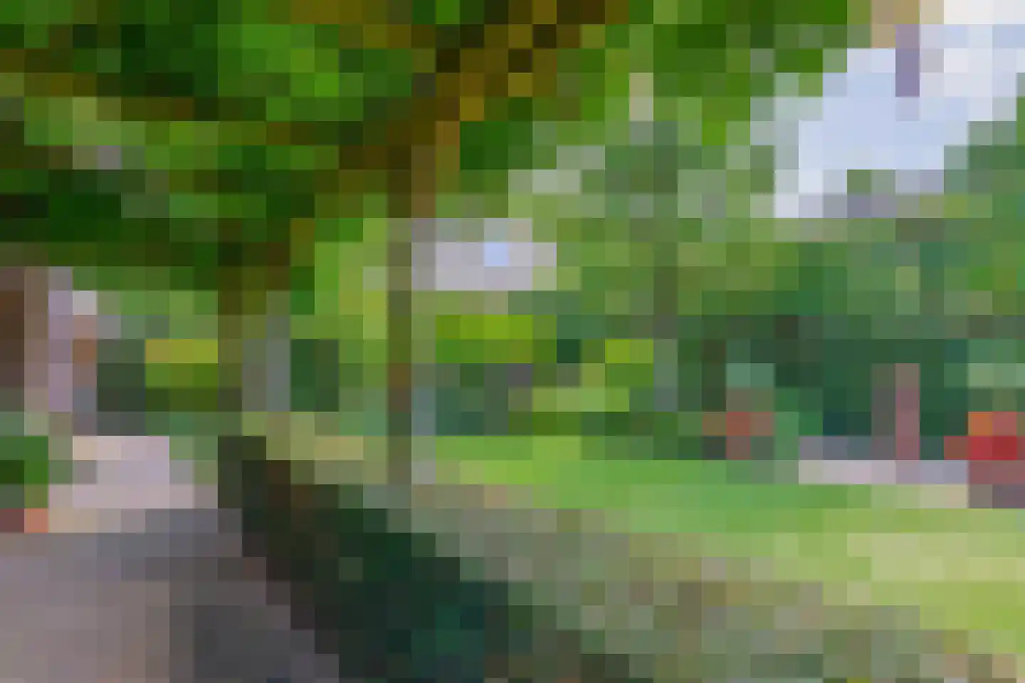 Pater Vogelsstraat 33 Beek en Donk thumbnail 63