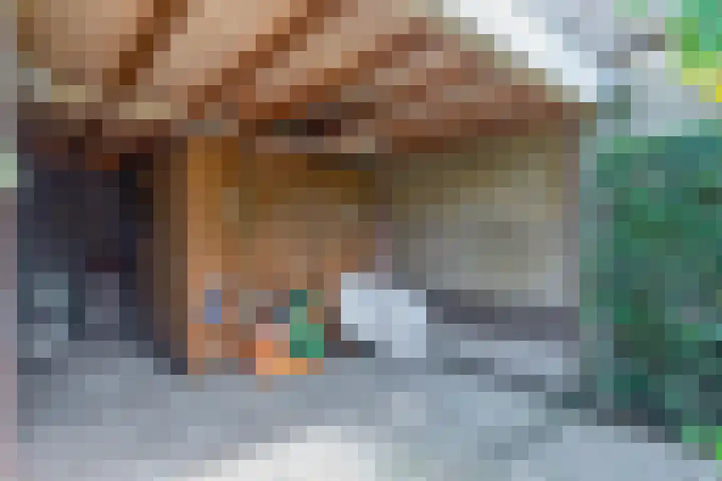 Pater Vogelsstraat 33 Beek en Donk thumbnail 72