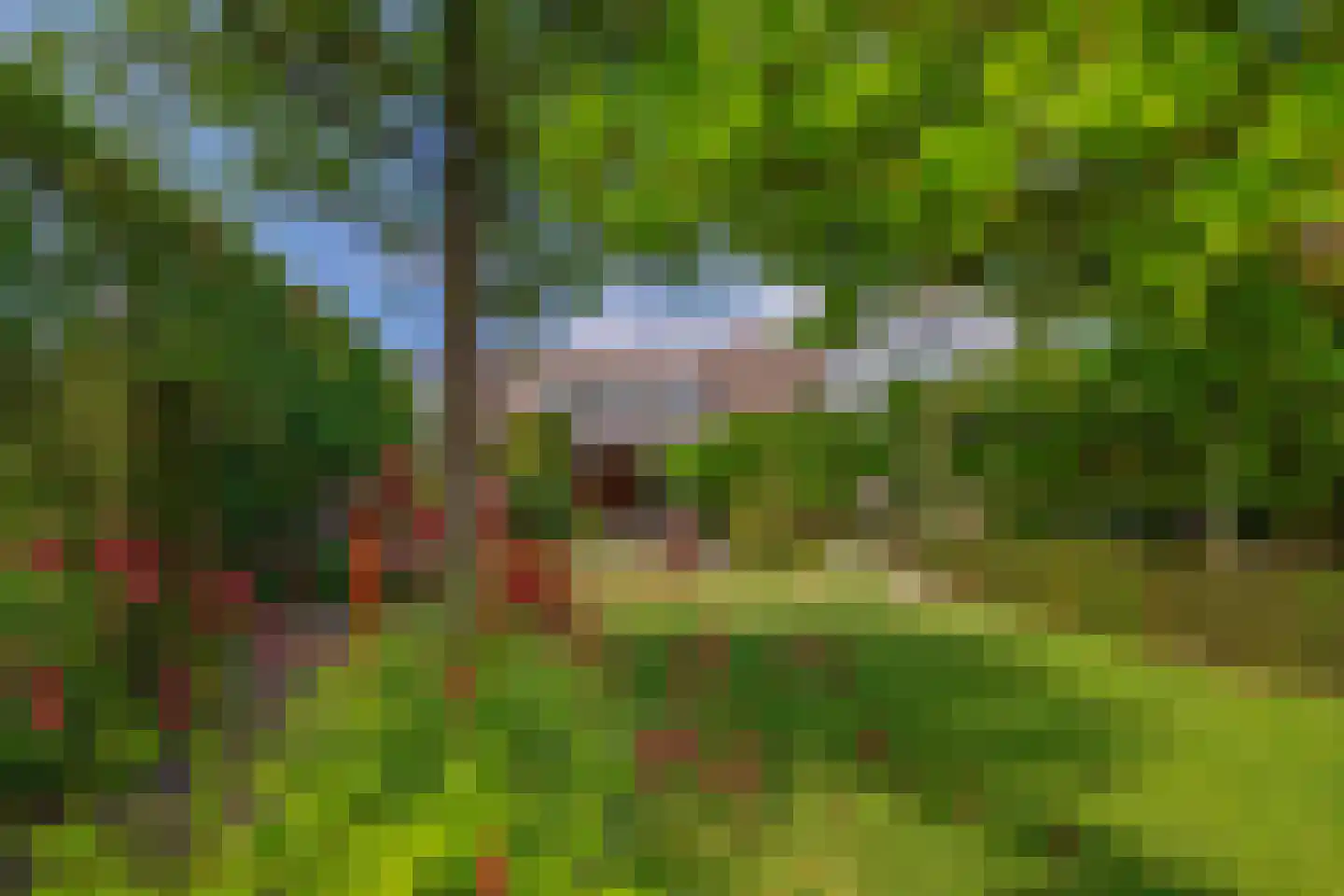 Pater Vogelsstraat 33 Beek en Donk thumbnail 74