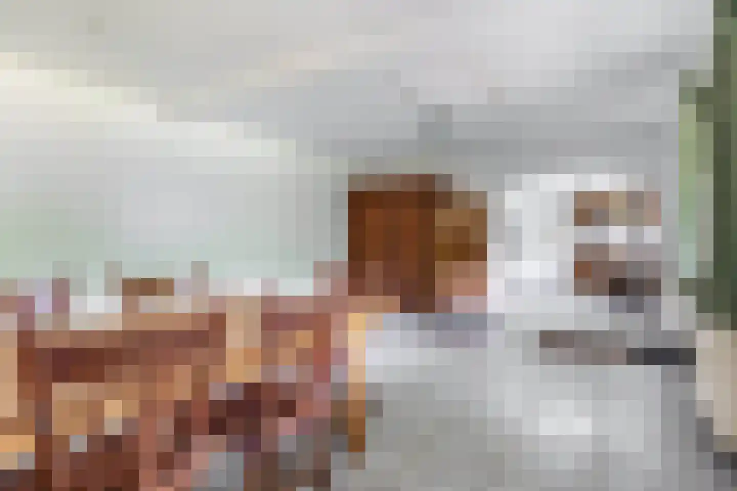 Pater Vogelsstraat 33 Beek en Donk thumbnail 77