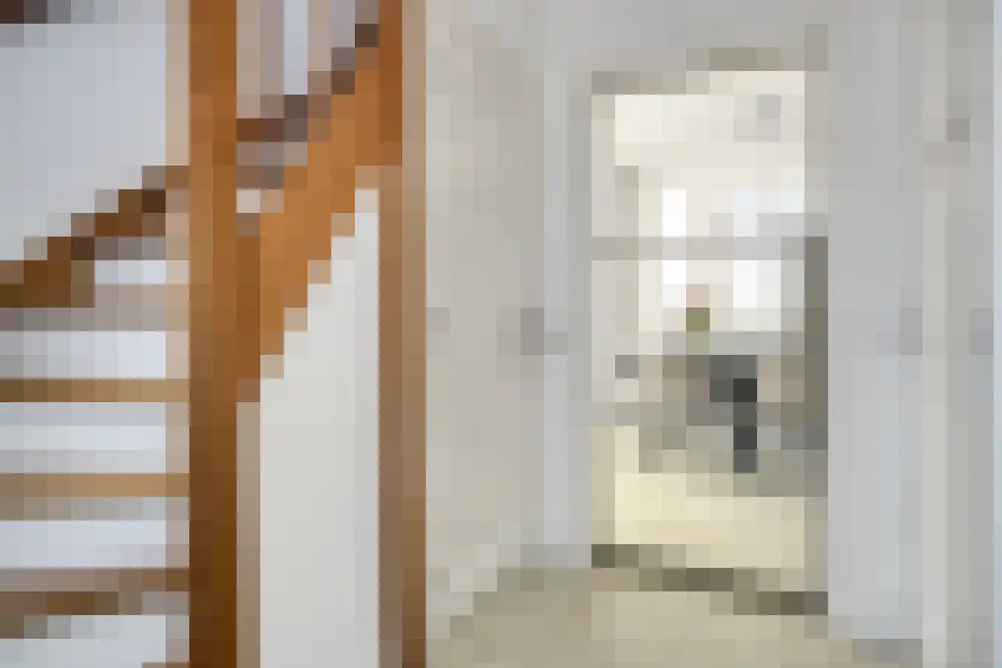 Pater Vogelsstraat 46 Beek en Donk thumbnail 9
