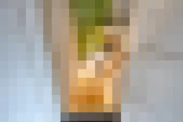 Pater Vogelsstraat 49 Beek en Donk thumbnail 11