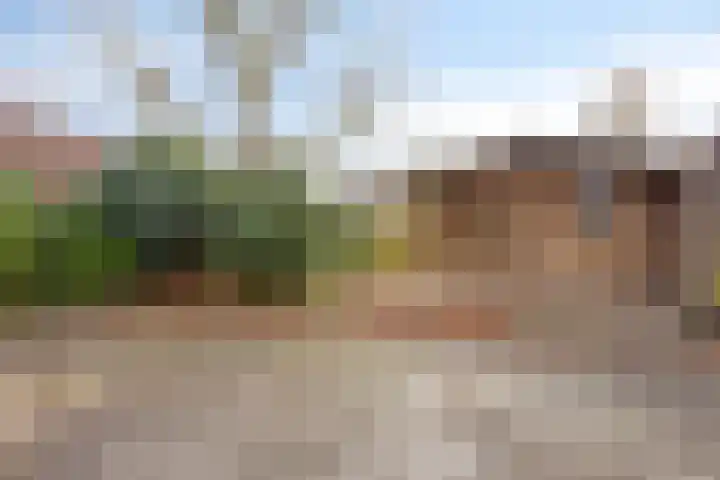 Pater Vogelsstraat 49 Beek en Donk thumbnail 27