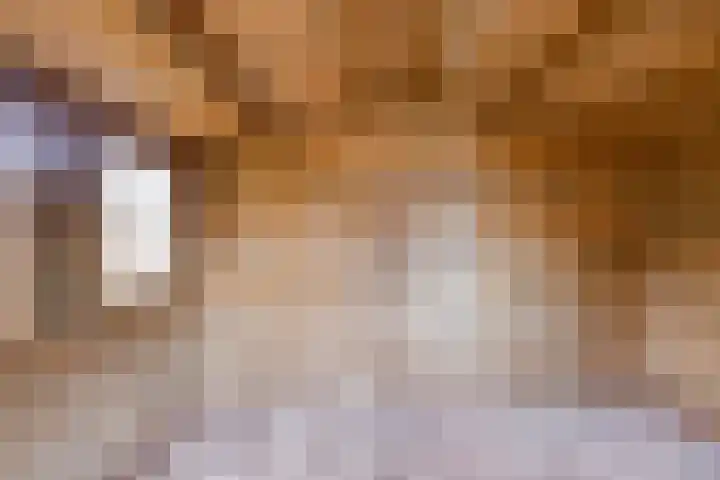 Pater Vogelsstraat 49 Beek en Donk thumbnail 28