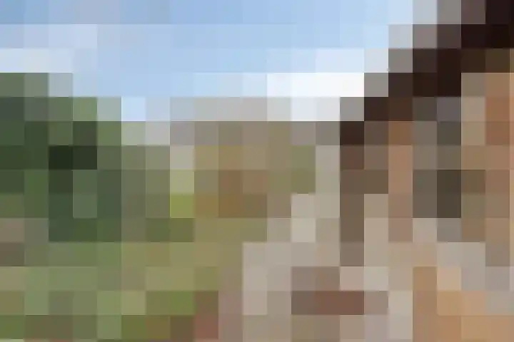 Pater Vogelsstraat 49 Beek en Donk thumbnail 29