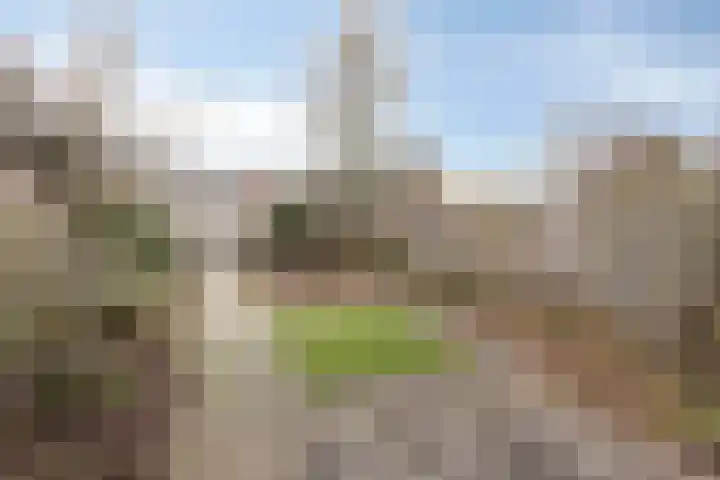 Pater Vogelsstraat 49 Beek en Donk thumbnail 30