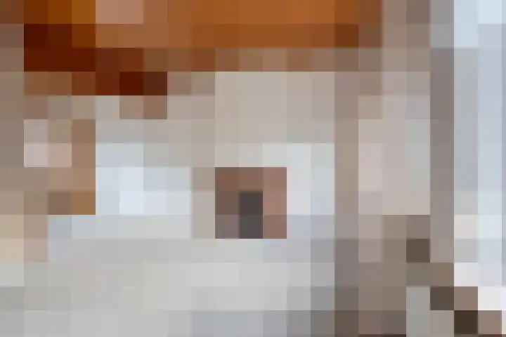Pater Vogelsstraat 49 Beek en Donk thumbnail 4