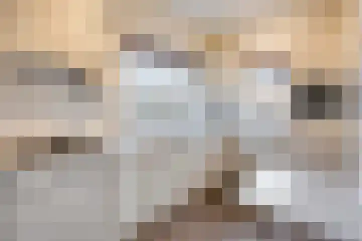 Pater Vogelsstraat 49 Beek en Donk thumbnail 5
