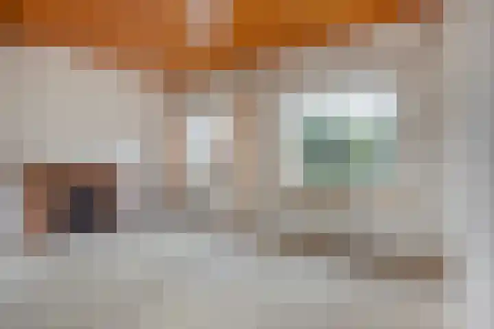 Pater Vogelsstraat 49 Beek en Donk thumbnail 8