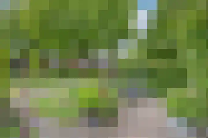 Pater Wijnterlaan 16 4 Naarden thumbnail 20
