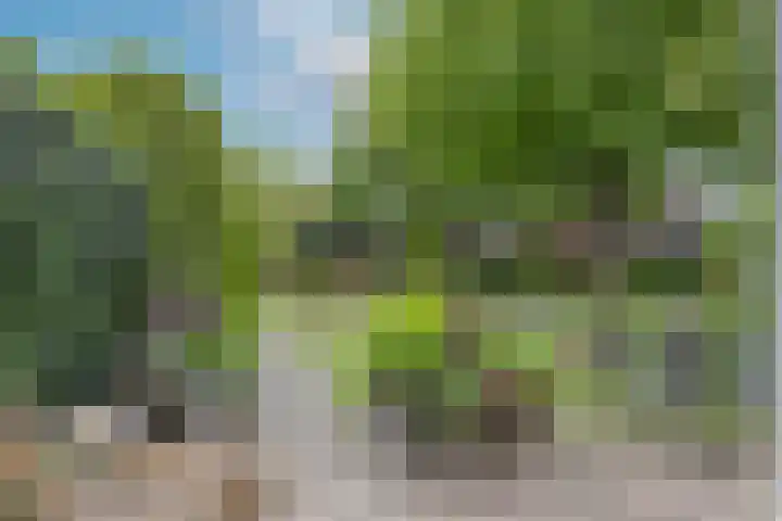 Pater Wijnterlaan 16 4 Naarden thumbnail 22