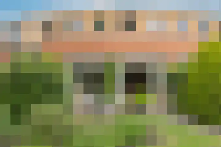 Pater Wijnterlaan 16 4 Naarden thumbnail 24
