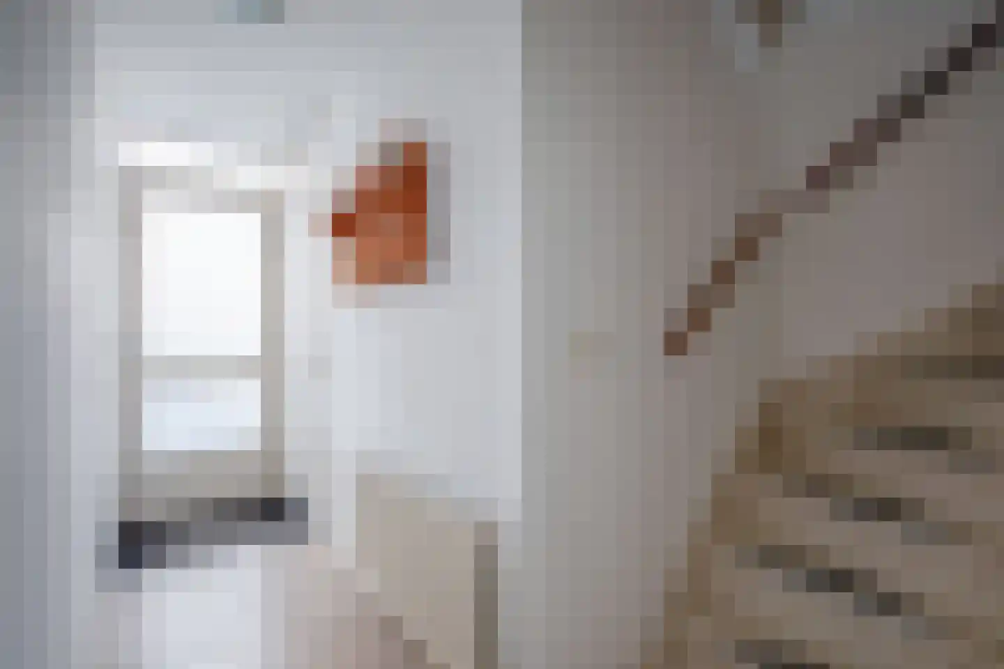 Pater Witteplein 3 Den Burg thumbnail 11