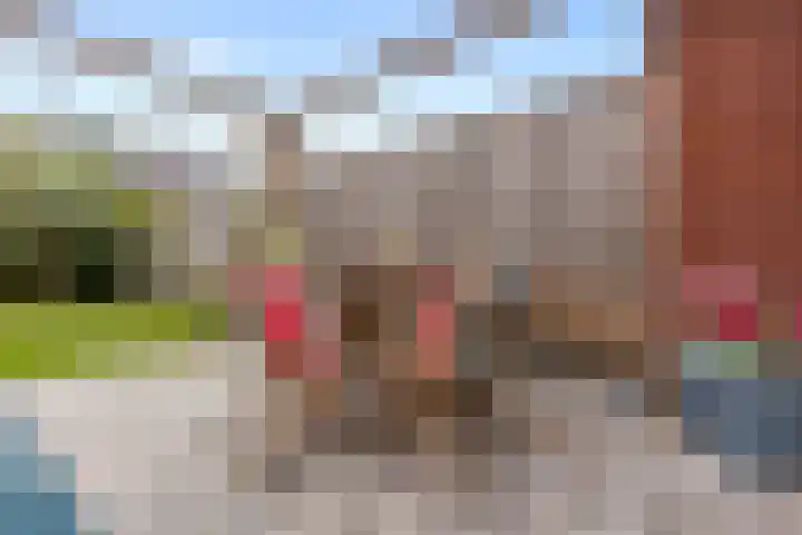 Paterastraat 14 Huissen thumbnail 12