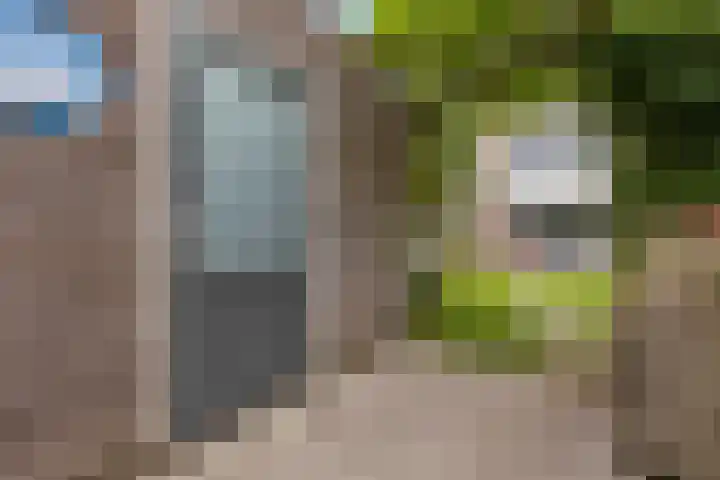 Paterastraat 14 Huissen thumbnail 15
