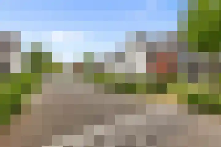 Paterastraat 14 Huissen thumbnail 29