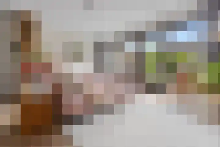 Paterastraat 14 Huissen thumbnail 4