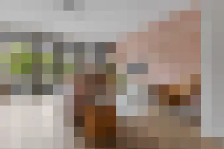 Paterastraat 14 Huissen thumbnail 5