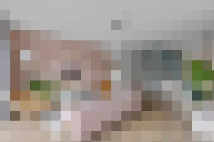 Paterastraat 14 Huissen thumbnail 6