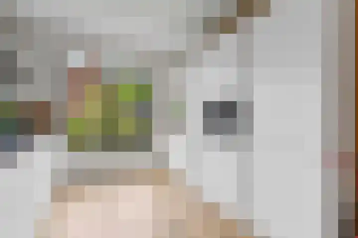 Paterastraat 14 Huissen thumbnail 9