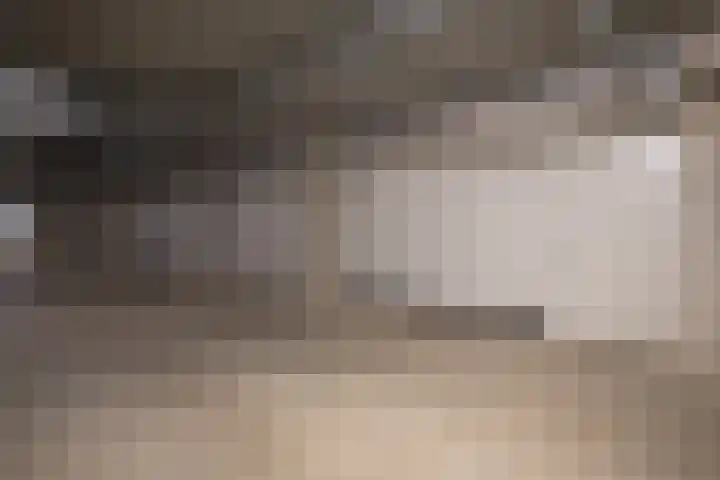 Paterplantsoen 7 Woudenberg thumbnail 12