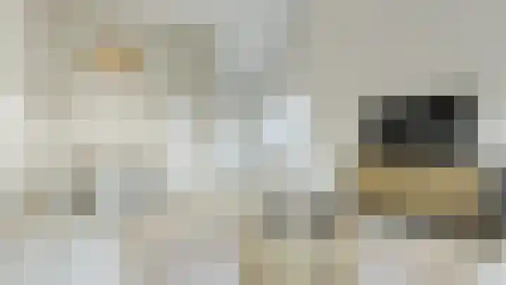 Paterplantsoen 7 Woudenberg thumbnail 7
