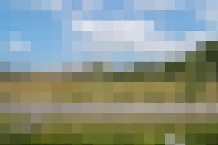 Paterplantsoen 7 Woudenberg thumbnail 8