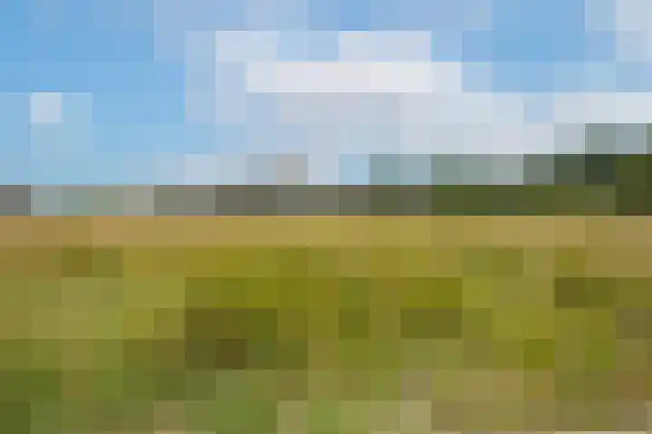 Paterplantsoen 7 Woudenberg thumbnail 9
