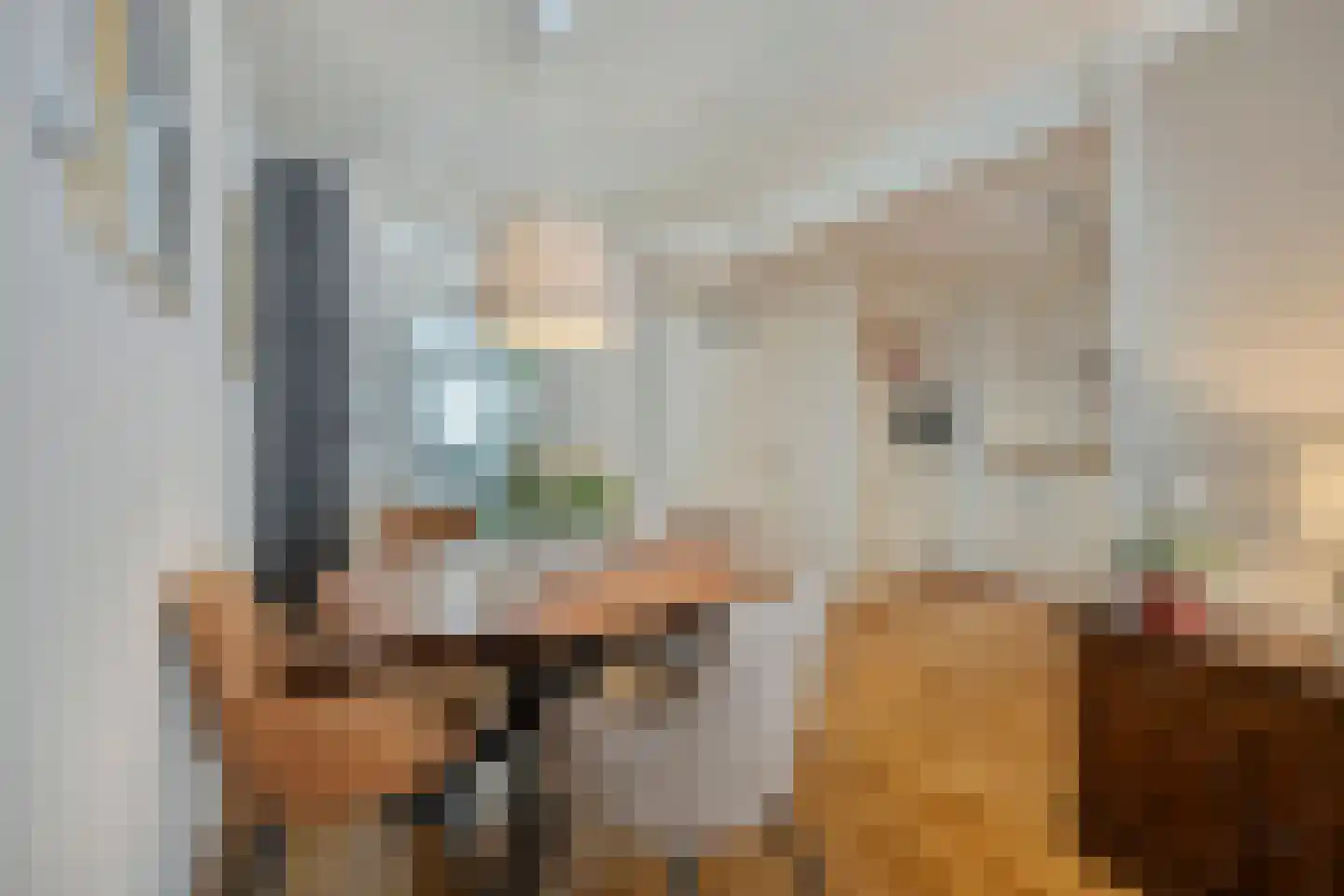 Patersbaan 14 B Maastricht thumbnail 17